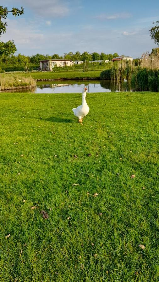 'T Groentje Baarland 외부 사진